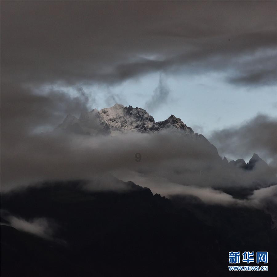 萌犬找不同